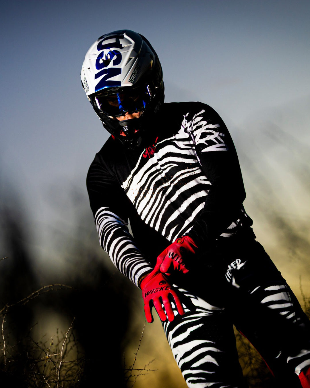 ZEBRAH